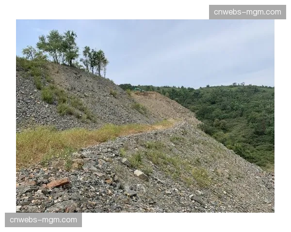 评论：关于在自然保护区内修建赛道的争议与生态补偿措施探讨
